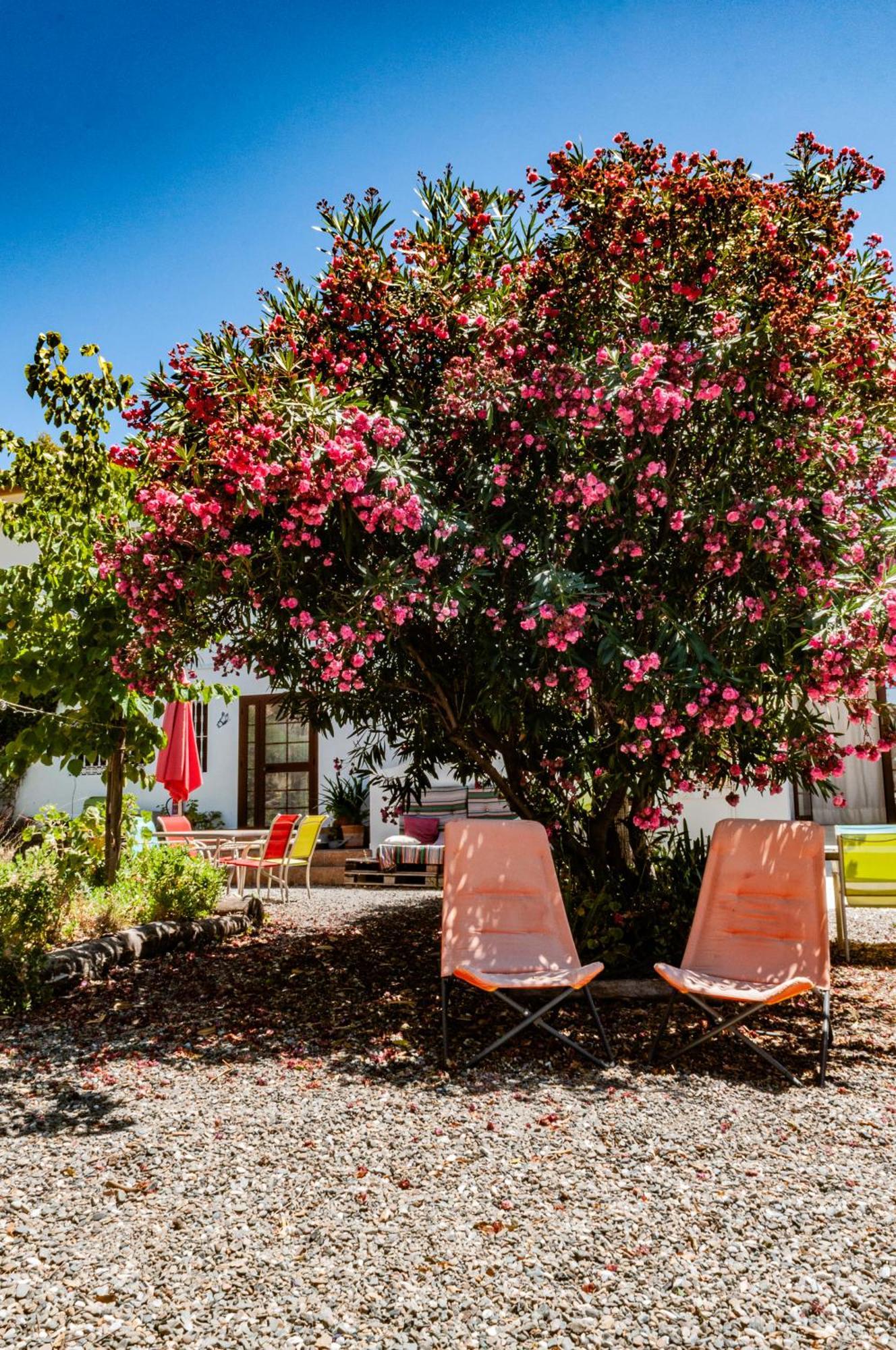 Aparthotel Nido Aguila Blanca Guaro Exterior foto